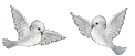 TWO DOVES